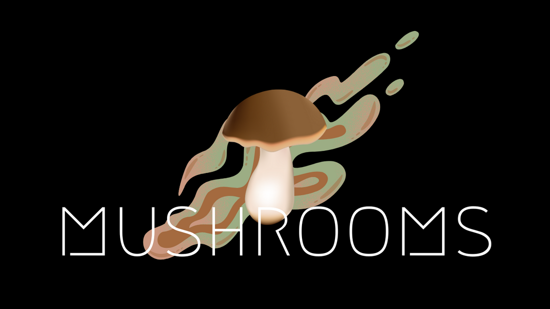 Magic Mushrooms