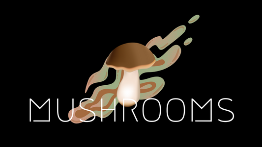 Magic Mushrooms